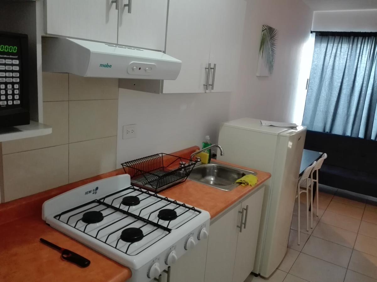 Mv Suites 蒙特雷 外观 照片